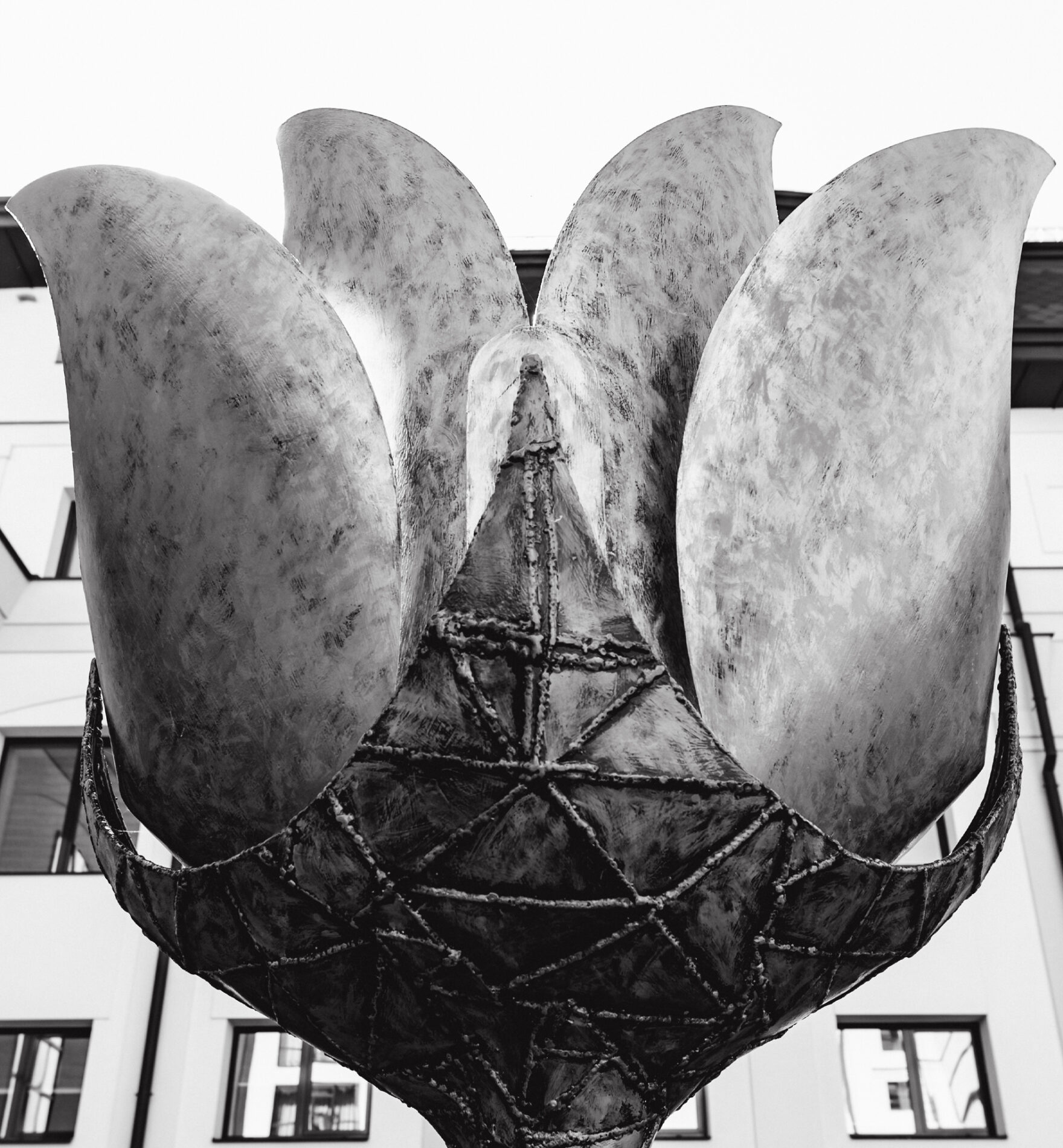 “Розквіт” – Зображення 6